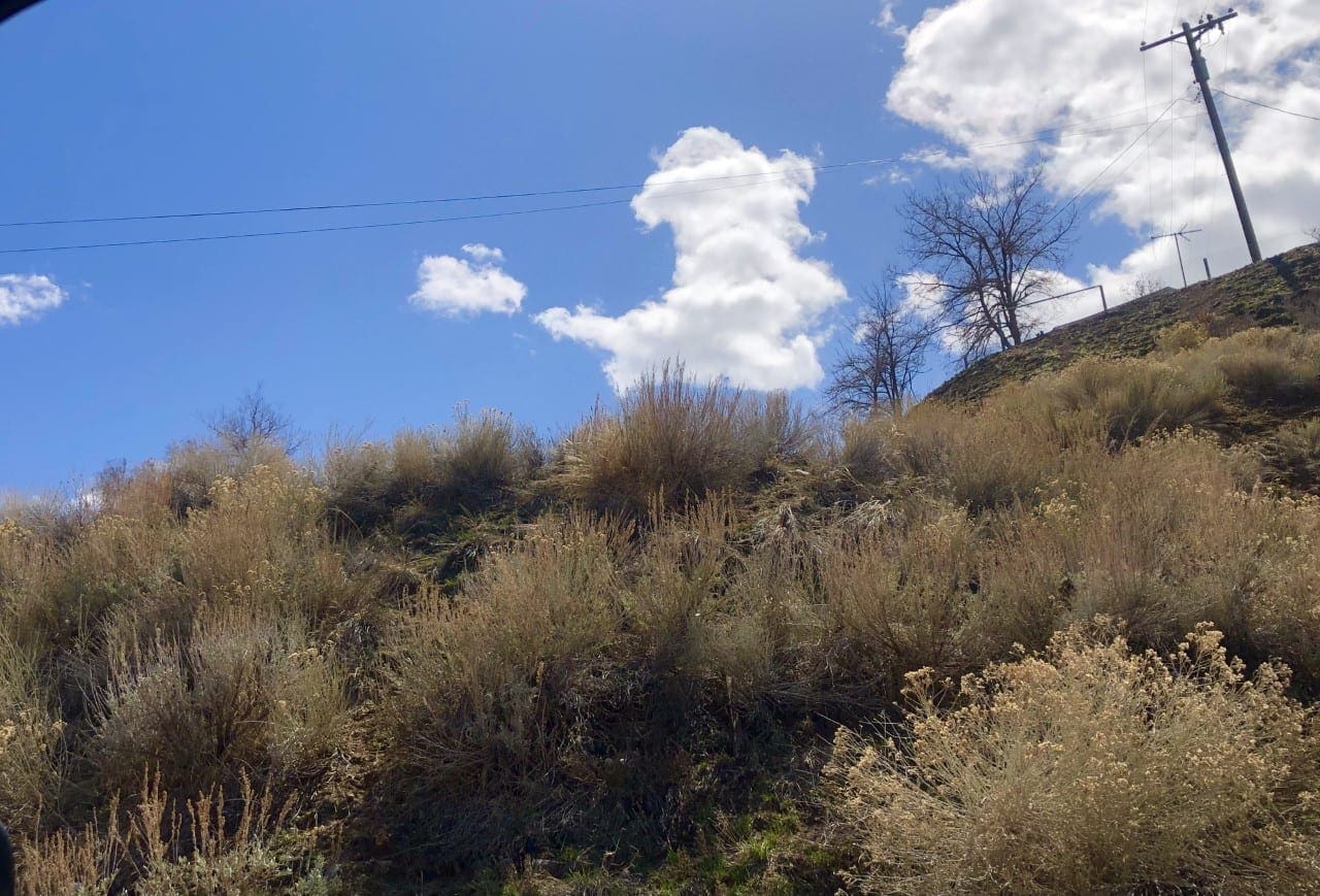 .09 Acres Two Lots in the Old West Town of Austin, Nevada Power