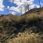 Thumbnail of .09 Acres ~ Two Lots in the Old West Town of Austin, Nevada ~ Power with Paved Road Frontage ~ Town Lights Views Photo 16