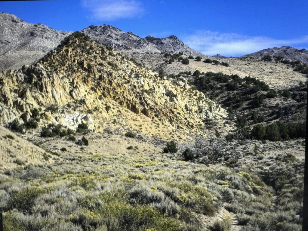 Large view of 20.00 ACRES IN THE GORGEOUS NORTHERN CALIFORNIA MOUNTAINS ~ LASSEN COUNTY! Photo 3