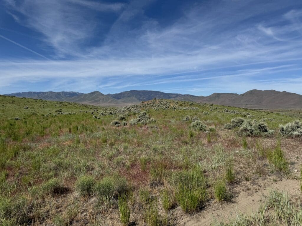 Large view of 20.00 ACRES IN THE GORGEOUS NORTHERN CALIFORNIA MOUNTAINS ~ LASSEN COUNTY! Photo 4