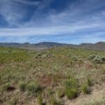 Thumbnail of 20.00 ACRES IN THE GORGEOUS NORTHERN CALIFORNIA MOUNTAINS ~ LASSEN COUNTY! Photo 4