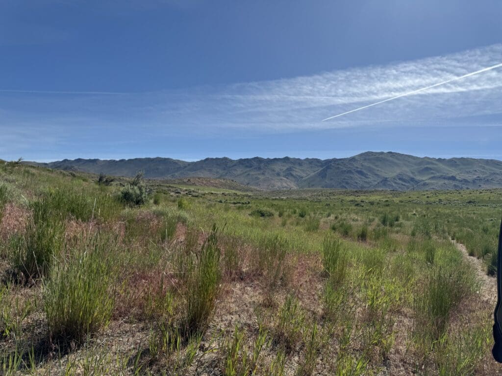 Large view of 20.00 ACRES IN THE GORGEOUS NORTHERN CALIFORNIA MOUNTAINS ~ LASSEN COUNTY! Photo 6