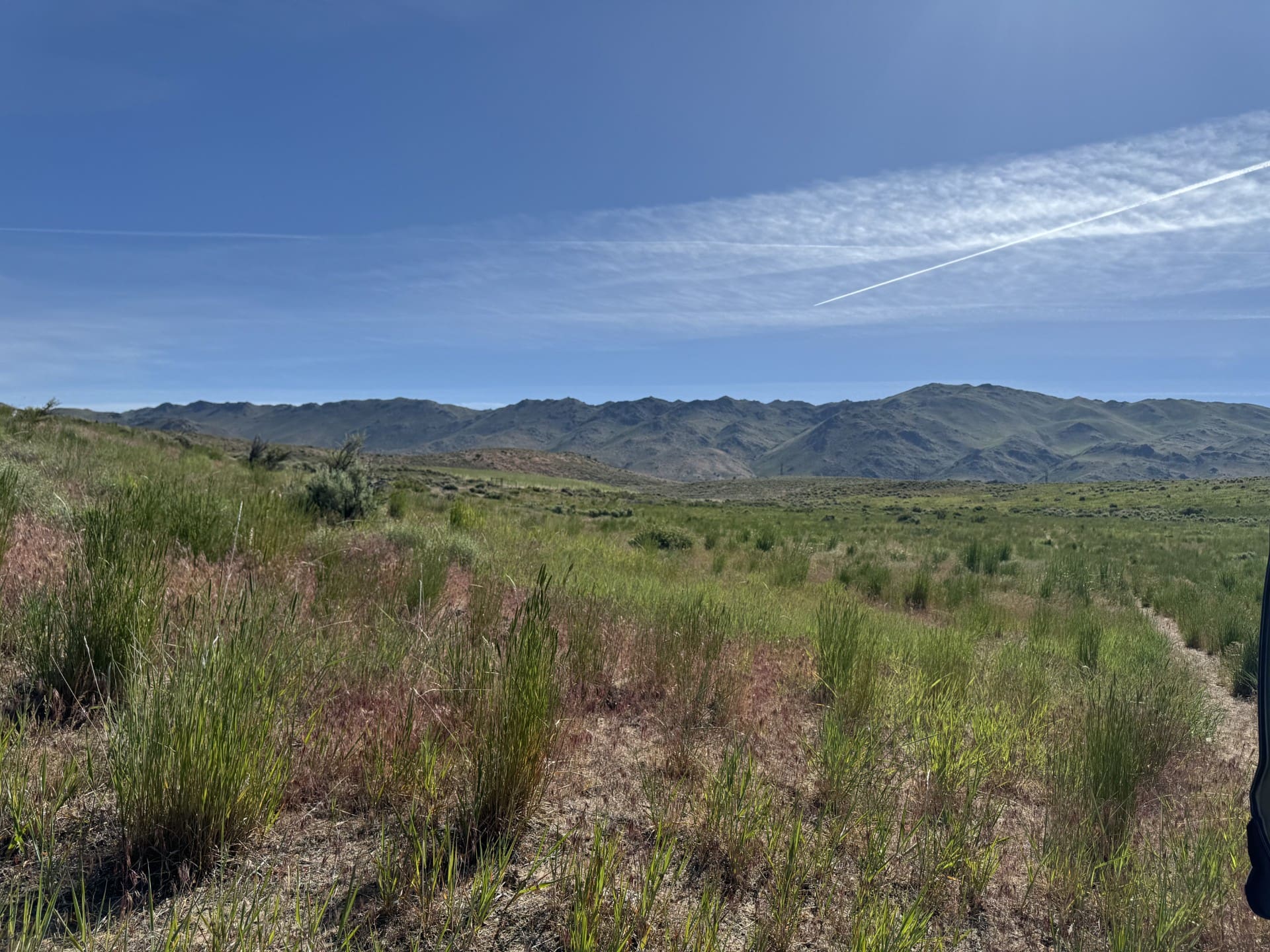 20.00 ACRES IN THE GORGEOUS NORTHERN CALIFORNIA MOUNTAINS ~ LASSEN COUNTY! photo 6
