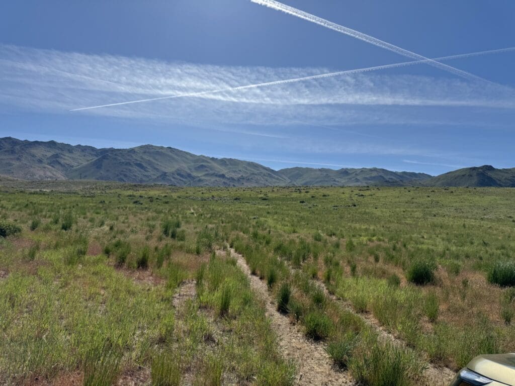 Large view of 20.00 ACRES IN THE GORGEOUS NORTHERN CALIFORNIA MOUNTAINS ~ LASSEN COUNTY! Photo 2