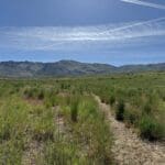 Thumbnail of 4.3 ACRES~EUREKA CO, NEVADA~GORGEOUS MINI RANCH EAST OF CRESCENT VALLEY~AMAZING MT. TENABO (9171 FT) VIEWS~ANTELOPE, DEER & ELK COUNTRY! Photo 1