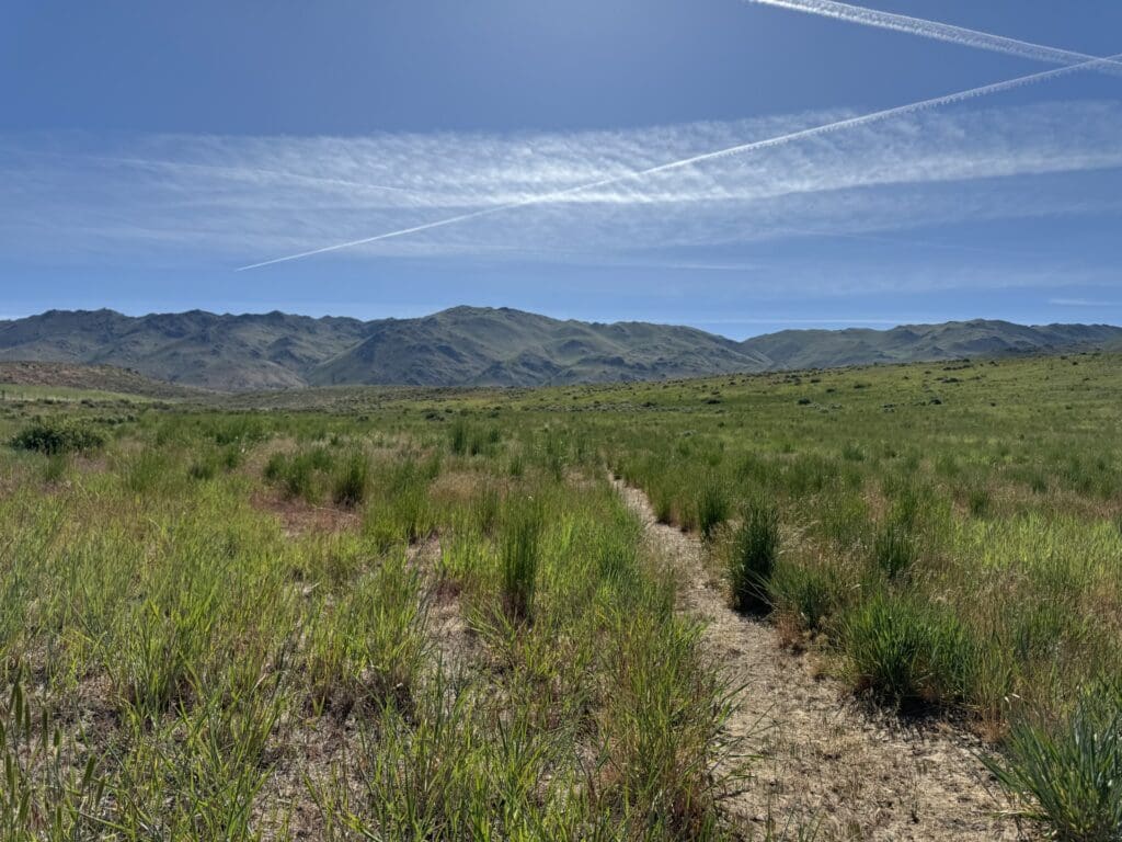 Large view of 20.00 ACRES IN THE GORGEOUS NORTHERN CALIFORNIA MOUNTAINS ~ LASSEN COUNTY! Photo 10