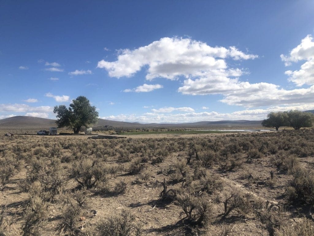 Large view of 0 SUPERIOR MILLSITE, SUR 37B ~HOT SPRINGS ~ New Pass Mining District ~ Artesian Well/HOT SPRING an Oasis in the Desert ~ Wild Horses ~ Big Game Photo 14