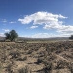 Thumbnail of 0 SUPERIOR MILLSITE, SUR 37B ~HOT SPRINGS ~ New Pass Mining District ~ Artesian Well/HOT SPRING an Oasis in the Desert ~ Wild Horses ~ Big Game Photo 14