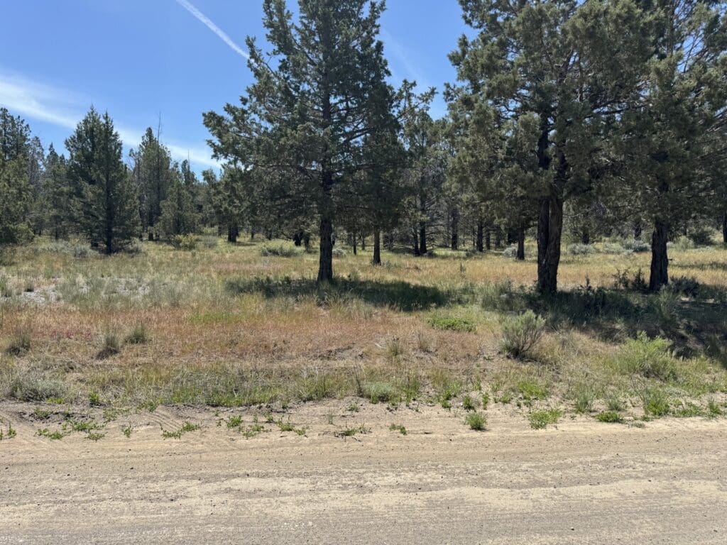 Large view of 1.47 ACRES IN BEAUTIFUL NORTHERN CALIFORNIA JUST NORTH OF ALTURAS WITH POWER AND TIMBER. Photo 14
