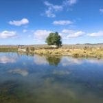 Thumbnail of 0 SUPERIOR MILLSITE, SUR 37B ~HOT SPRINGS ~ New Pass Mining District ~ Artesian Well/HOT SPRING an Oasis in the Desert ~ Wild Horses ~ Big Game Photo 15