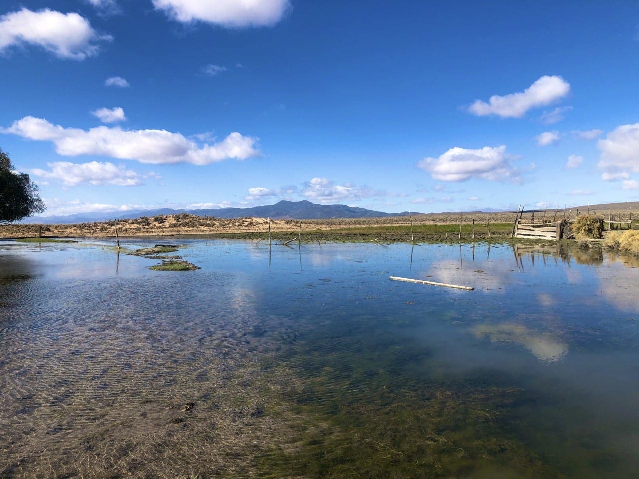 0 SUPERIOR MILLSITE, SUR 37B ~HOT SPRINGS ~ New Pass Mining District ~ Artesian Well/HOT SPRING an Oasis in the Desert ~ Wild Horses ~ Big Game photo 18