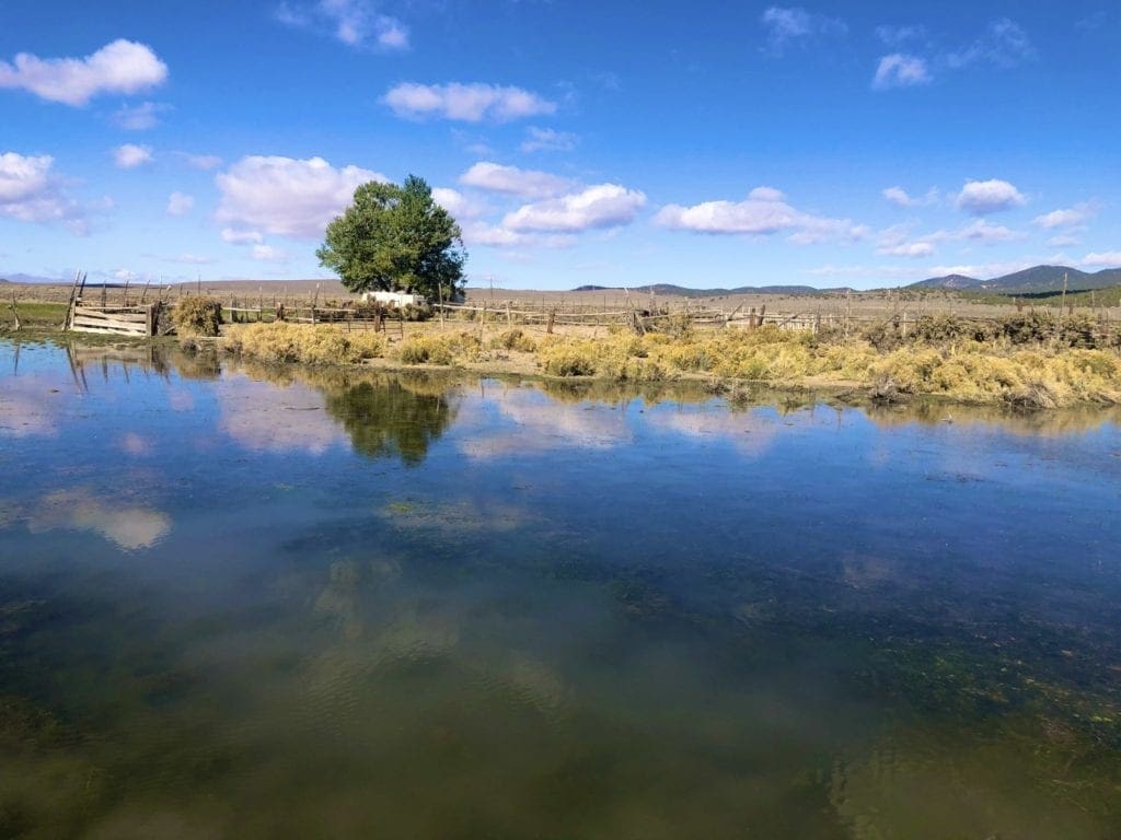 Large view of 0 SUPERIOR MILLSITE, SUR 37B ~HOT SPRINGS ~ New Pass Mining District ~ Artesian Well/HOT SPRING an Oasis in the Desert ~ Wild Horses ~ Big Game Photo 22