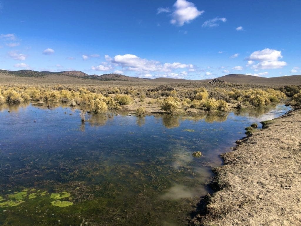 Large view of 0 SUPERIOR MILLSITE, SUR 37B ~HOT SPRINGS ~ New Pass Mining District ~ Artesian Well/HOT SPRING an Oasis in the Desert ~ Wild Horses ~ Big Game Photo 20