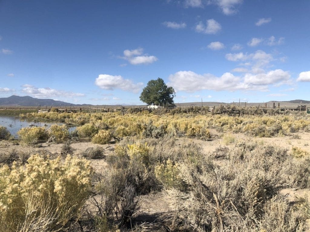 Large view of 0 SUPERIOR MILLSITE, SUR 37B ~HOT SPRINGS ~ New Pass Mining District ~ Artesian Well/HOT SPRING an Oasis in the Desert ~ Wild Horses ~ Big Game Photo 19