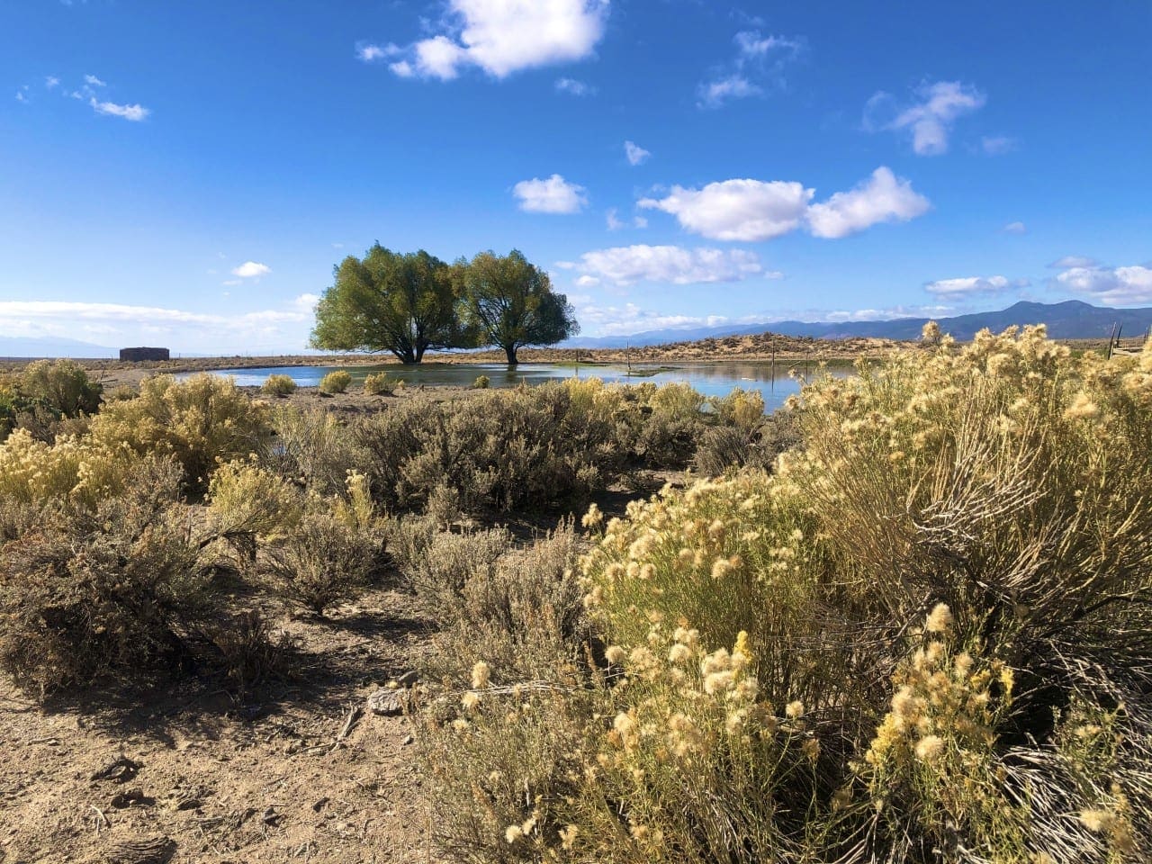 0 SUPERIOR MILLSITE, SUR 37B ~HOT SPRINGS ~ New Pass Mining District ~ Artesian Well/HOT SPRING an Oasis in the Desert ~ Wild Horses ~ Big Game photo 24