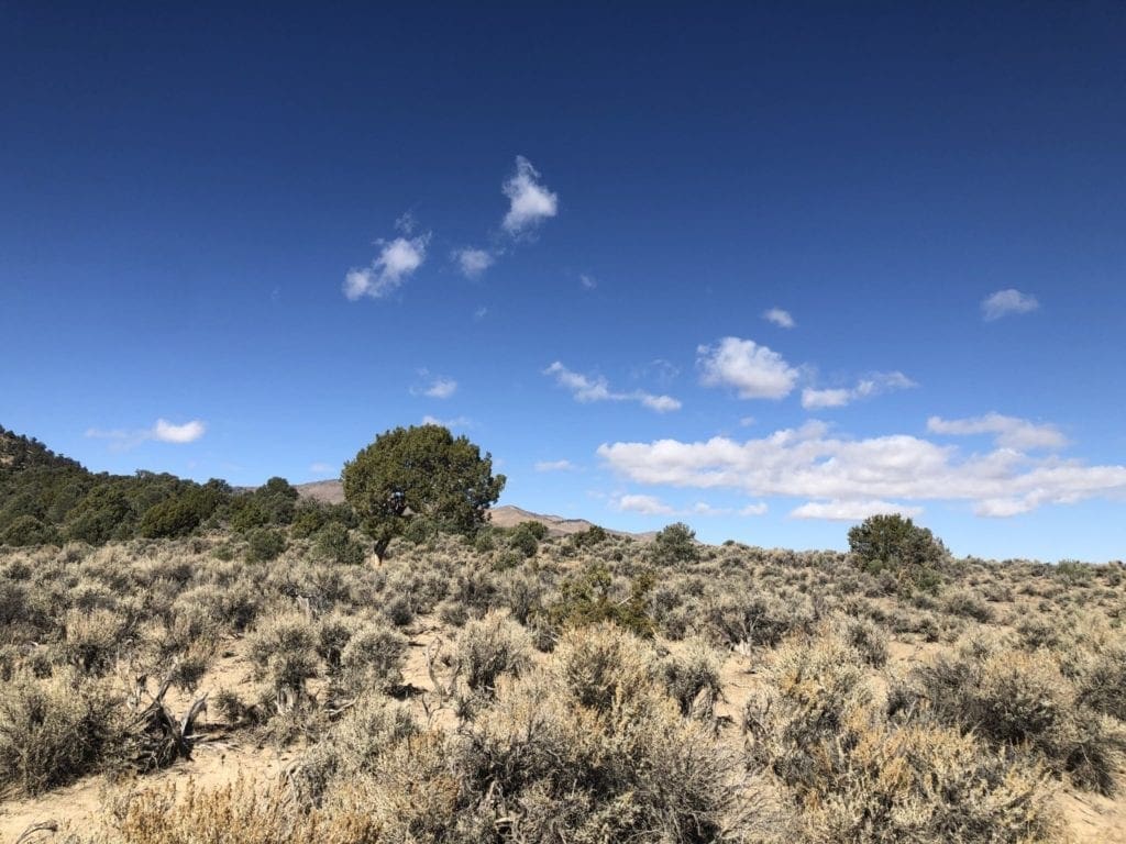 Large view of 0 SUPERIOR MILLSITE, SUR 37B ~HOT SPRINGS ~ New Pass Mining District ~ Artesian Well/HOT SPRING an Oasis in the Desert ~ Wild Horses ~ Big Game Photo 10