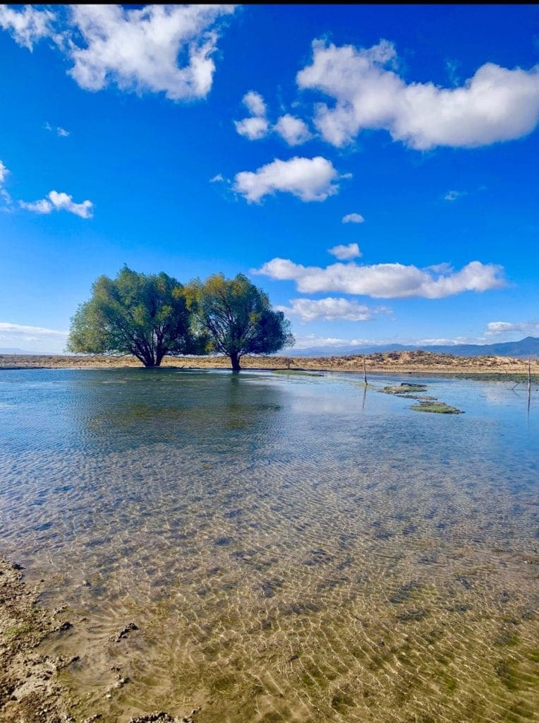 Large view of 0 SUPERIOR MILLSITE, SUR 37B ~HOT SPRINGS ~ New Pass Mining District ~ Artesian Well/HOT SPRING an Oasis in the Desert ~ Wild Horses ~ Big Game Photo 25