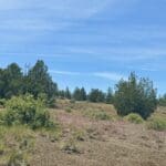 Thumbnail of GORGEOUS TREED LOT IN THE FAMOUS PITT RIVER AREA OF NORTHERN CALFORNIA ~ WORLD CLASS FISHING ~ NEAR OREGON & NEVADA Photo 8