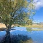 Thumbnail of 0 SUPERIOR MILLSITE, SUR 37B ~HOT SPRINGS ~ New Pass Mining District ~ Artesian Well/HOT SPRING an Oasis in the Desert ~ Wild Horses ~ Big Game Photo 27