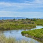 Thumbnail of GORGEOUS TREED LOT IN THE FAMOUS PITT RIVER AREA OF NORTHERN CALFORNIA ~ WORLD CLASS FISHING ~ NEAR OREGON & NEVADA Photo 19