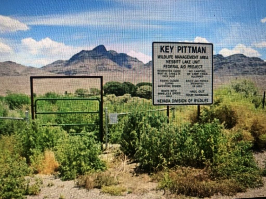 Large view of 2.61 Acres in Beautiful Crystal Springs Adjacent to Key Pittman Wildlife Area/Lake & Fronts NV State Highway SR-318 Photo 13