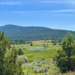 Thumbnail of GORGEOUS TREED LOT IN THE FAMOUS PITT RIVER AREA OF NORTHERN CALFORNIA ~ WORLD CLASS FISHING ~ NEAR OREGON & NEVADA Photo 20