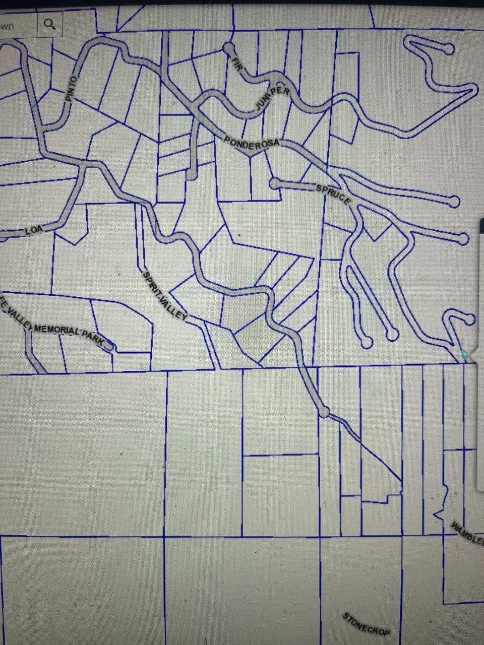 GORGEOUS TIMBERED R.V/CAMPING VIEW PARCEL IN WHISPERING PINES, JEFFERSON COUNTY, COLORADO photo 5