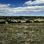 Thumbnail of GORGEOUS BUILDING LOT IN GROWING COLORADO CITY~NEAR GOLF COURSE AND TOWN JUST OFF HIGHWAY I-95 Photo 3