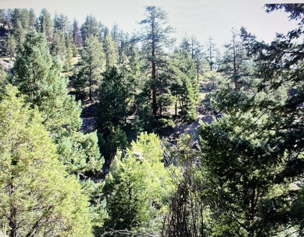 Large view of 2.92 ACRES IN CLEAR CREEK CO, COLORADO MINE TENERIFFE 6882 UNDIVIDED 100% WHERE THE GOLD RUSH BEGAN Photo 2