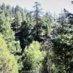 Thumbnail of 2.92 ACRES IN CLEAR CREEK CO, COLORADO MINE TENERIFFE 6882 UNDIVIDED 100% WHERE THE GOLD RUSH BEGAN Photo 2
