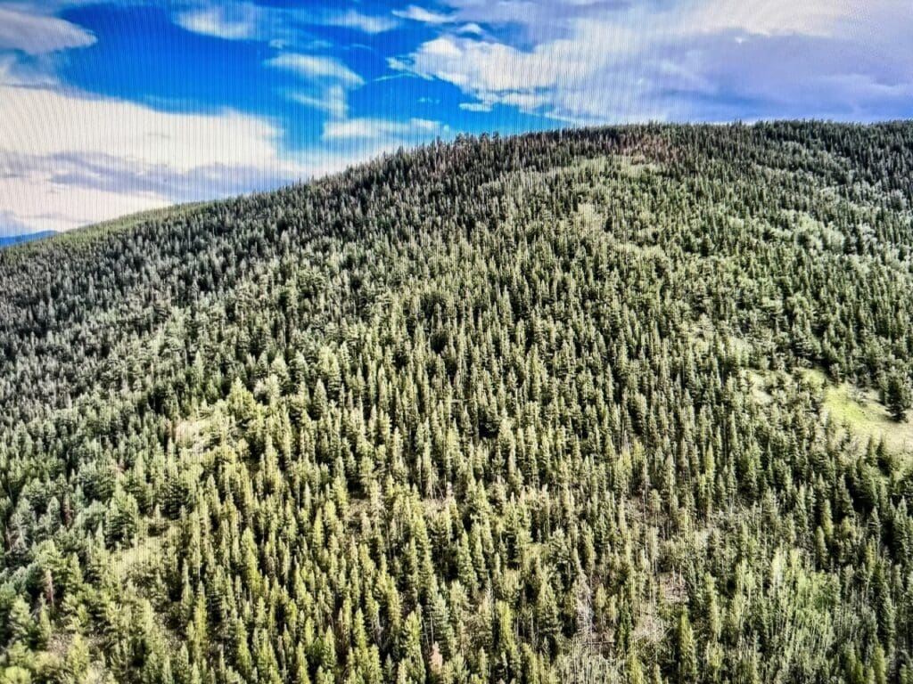 Large view of 2.92 ACRES IN CLEAR CREEK CO, COLORADO MINE TENERIFFE 6882 UNDIVIDED 100% WHERE THE GOLD RUSH BEGAN Photo 1