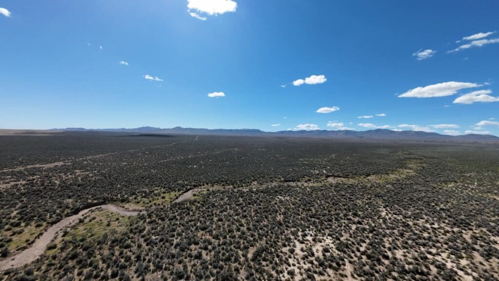 Large view of 77.78 ACRES IN WILD N.E. NEVADA ON MOUNTAIN RIDGE OVERLOOKING VALLEY, CREEK & RUBY’S ~ NEAR ELKO. Photo 5