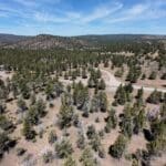 Thumbnail of 1.47 ACRES IN BEAUTIFUL NORTHERN CALIFORNIA JUST NORTH OF ALTURAS WITH POWER AND TIMBER. Photo 18