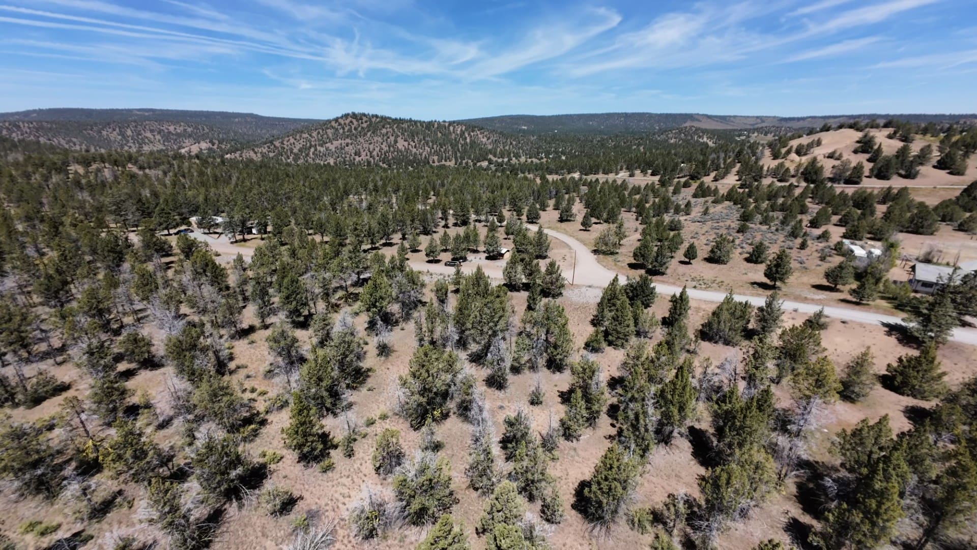 1.47 ACRES IN BEAUTIFUL NORTHERN CALIFORNIA JUST NORTH OF ALTURAS WITH POWER AND TIMBER. photo 18