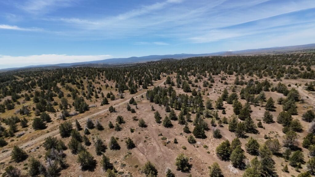 Large view of GORGEOUS TREED LOT IN THE FAMOUS PITT RIVER AREA OF NORTHERN CALFORNIA ~ WORLD CLASS FISHING ~ NEAR OREGON & NEVADA Photo 24