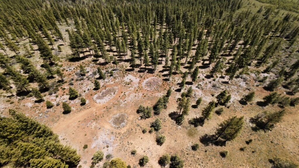 Large view of 30.00 ACRES ~ GORGEOUS NORTHERN CALIFORNIA TIMBERED MOUNTAIN LAND IN MODOC COUNTY NEAR OREGON & NEVADA Photo 18