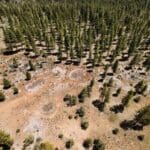 Thumbnail of 30.00 ACRES ~ GORGEOUS NORTHERN CALIFORNIA TIMBERED MOUNTAIN LAND IN MODOC COUNTY NEAR OREGON & NEVADA Photo 18
