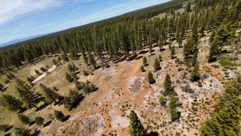 Large view of 30.00 ACRES ~ GORGEOUS NORTHERN CALIFORNIA TIMBERED MOUNTAIN LAND IN MODOC COUNTY NEAR OREGON & NEVADA Photo 17