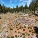Thumbnail of 30.00 ACRES ~ GORGEOUS NORTHERN CALIFORNIA TIMBERED MOUNTAIN LAND IN MODOC COUNTY NEAR OREGON & NEVADA Photo 19