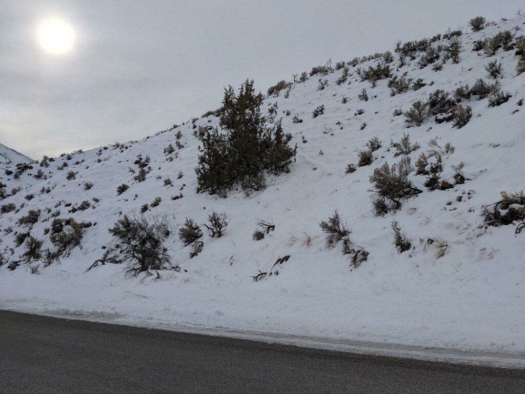 0.5 Acre lot located just feet from the Salmon River in Lemhi County, Idaho! photo 20