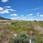 2.89 Acres on the Heels of Pilot Peak with power - landscape photo 4