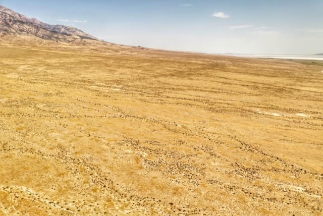 58.21 Acres on the Nevada/Utah State Lines have one foot in Nevada & One foot in Utah photo 5