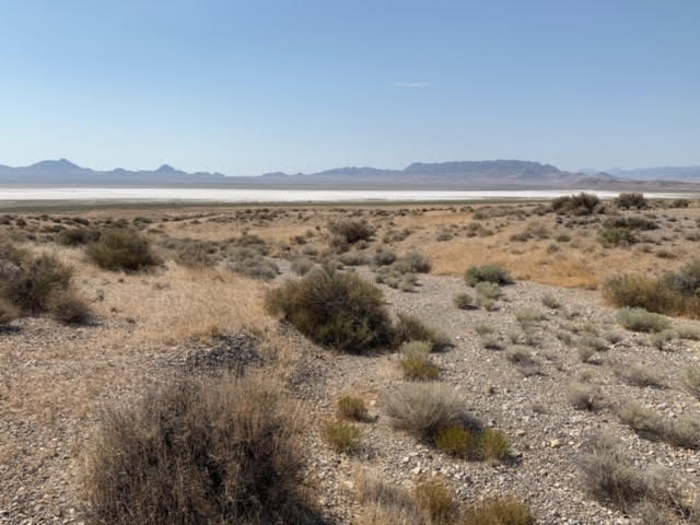 58.21 Acres on the Nevada/Utah State Lines have one foot in Nevada & One foot in Utah photo 26