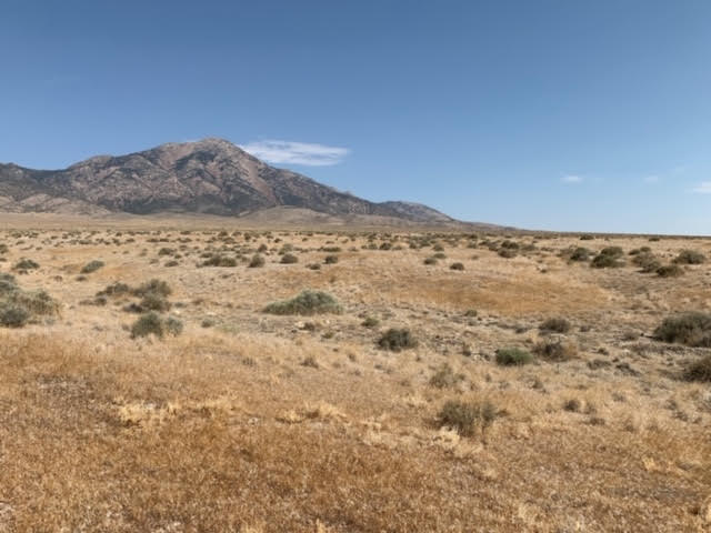 58.21 Acres on the Nevada/Utah State Lines have one foot in Nevada & One foot in Utah photo 24