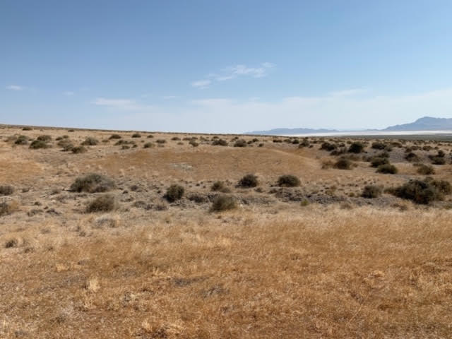 58.21 Acres on the Nevada/Utah State Lines have one foot in Nevada & One foot in Utah photo 23