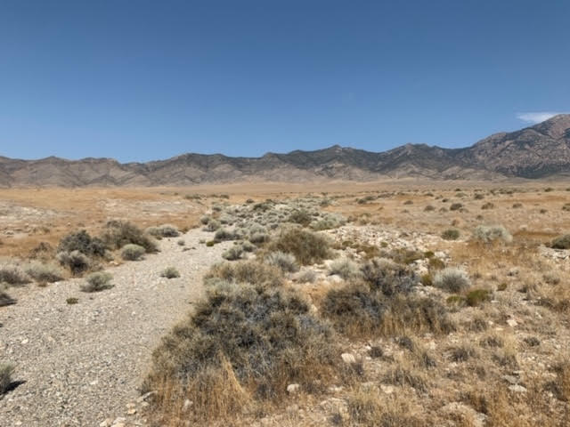 Large view of 58.21 Acres on the Nevada/Utah State Lines have one foot in Nevada & One foot in Utah Photo 22