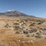 Thumbnail of 58.21 Acres on the Nevada/Utah State Lines have one foot in Nevada & One foot in Utah Photo 20