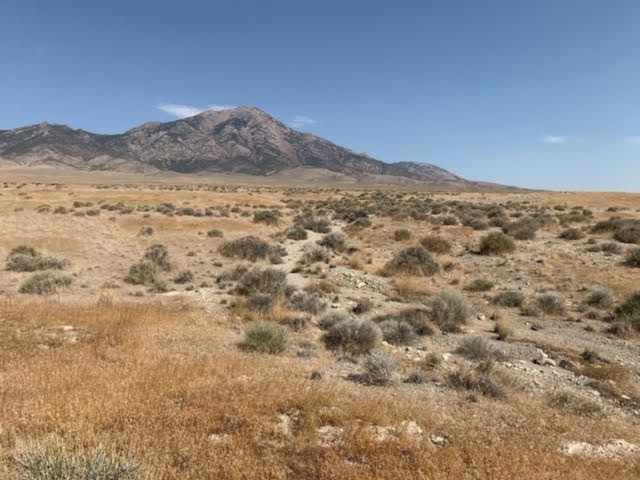 58.21 Acres on the Nevada/Utah State Lines have one foot in Nevada & One foot in Utah photo 20