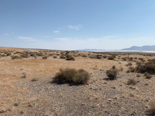 Large view of 58.21 Acres on the Nevada/Utah State Lines have one foot in Nevada & One foot in Utah Photo 14
