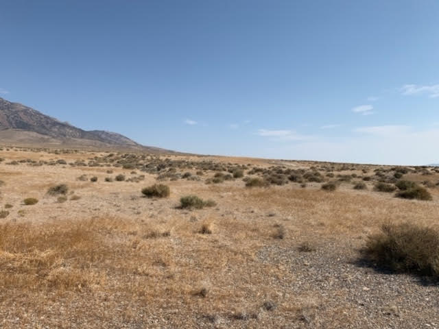 58.21 Acres on the Nevada/Utah State Lines have one foot in Nevada & One foot in Utah photo 12